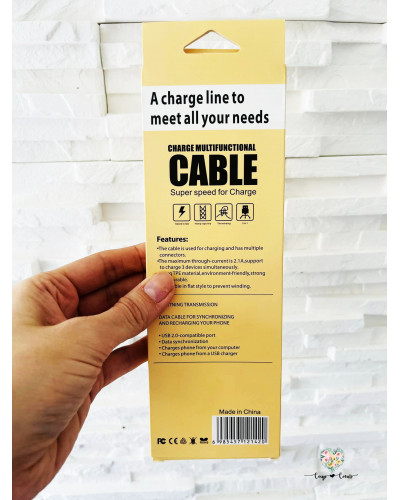 Chargeur multi cable universel